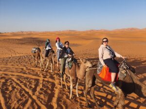 Camel riding in the Sahara desert